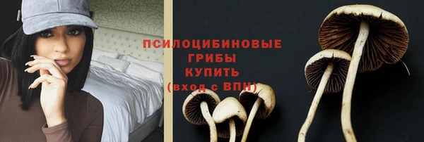 прущая мука Белокуриха