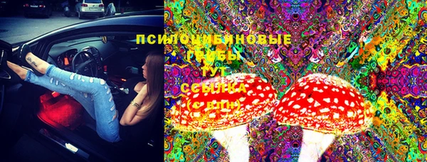прущая мука Белокуриха