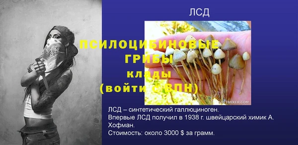 гидропоника Беломорск